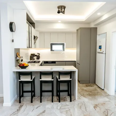 Palmiye By Safiya Göcek