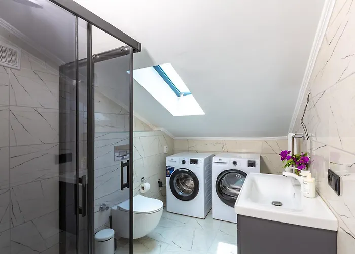 Palmiye By Safiya Willa