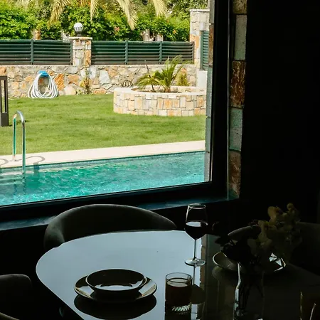 Palmiye By Safiya غوجيك