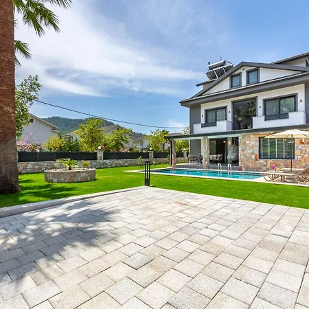 فيلة Palmiye By Safiya