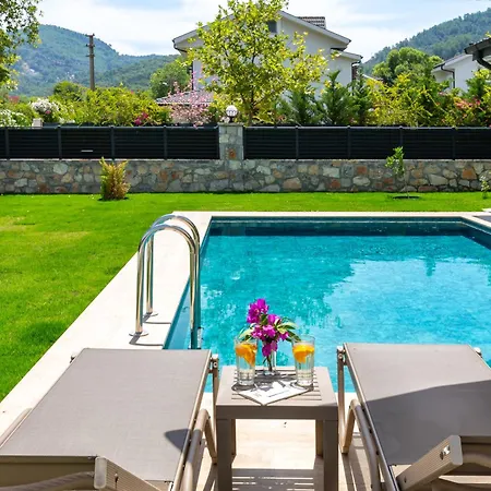 Palmiye By Safiya فيلة غوجيك